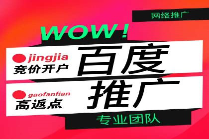 百度SEO推广公司案例分享：实战优化策略大放送