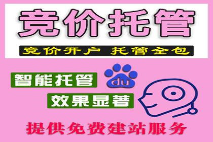 专业SEM托管，案例分享助力企业实现高效转化